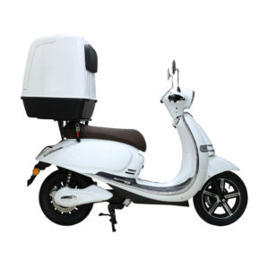 EFUN PUSA DELIVERY ESF 125cc