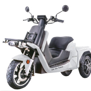 E-RIDE CARRIER DOUBLE