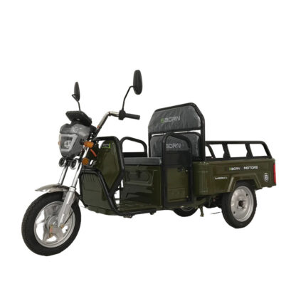 EBORN CARGO CAT 1 V2 - Image 2