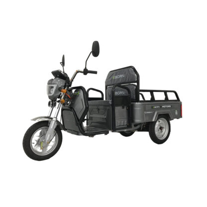 EBORN CARGO CAT 1 V2 - Image 4