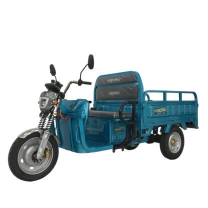 EBORN CARGO CAT 2 V2 - Image 4