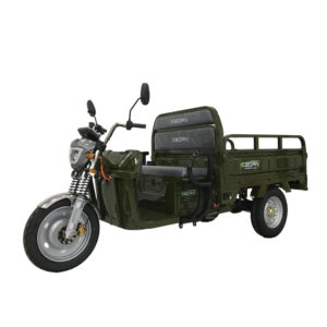 EBORN CARGO CAT 2 V2