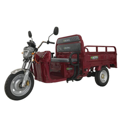 EBORN CARGO CAT 2 V2 - Image 3