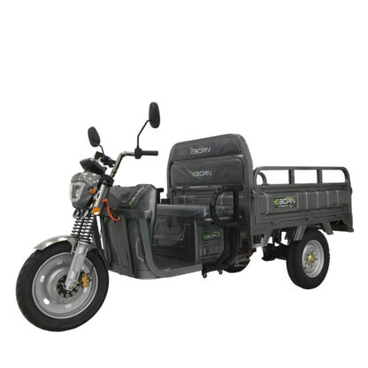 EBORN CARGO CAT 2 V2 - Image 2
